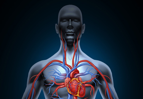 Cardiovascular Disease Management in Patients